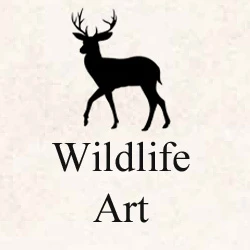 Wildlife-Image-for-webstie-brown